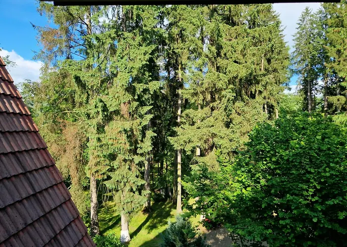 Pensiunea Happy Inn