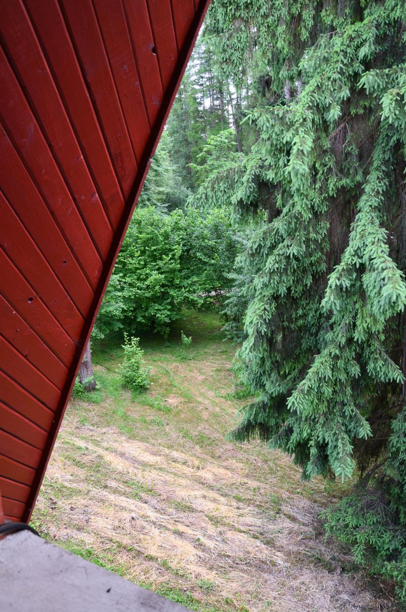 Guest house Pensiunea Happy Vatra Dornei