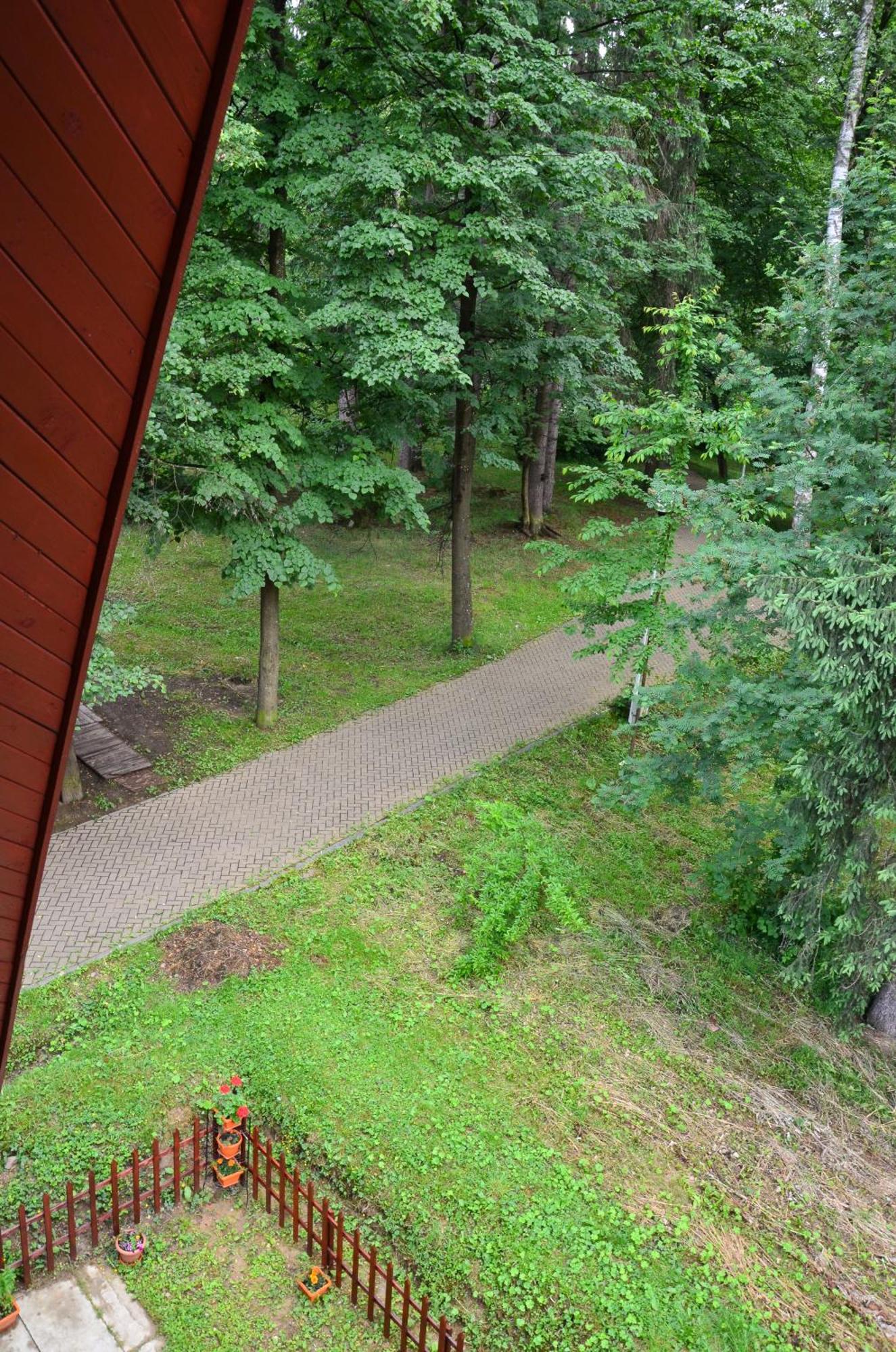 Pensiunea Happy Guest house Vatra Dornei